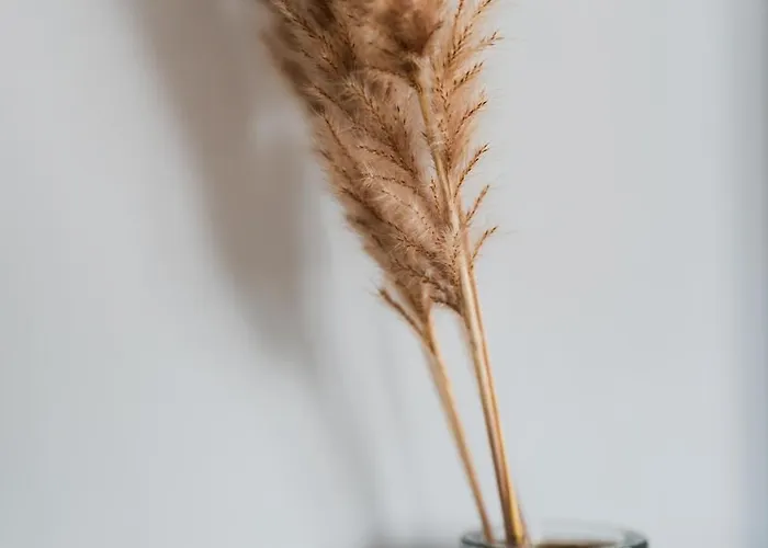 Md With Private Jacuzzi Near The *