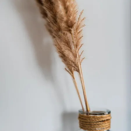 Md With Private Jacuzzi Near The *